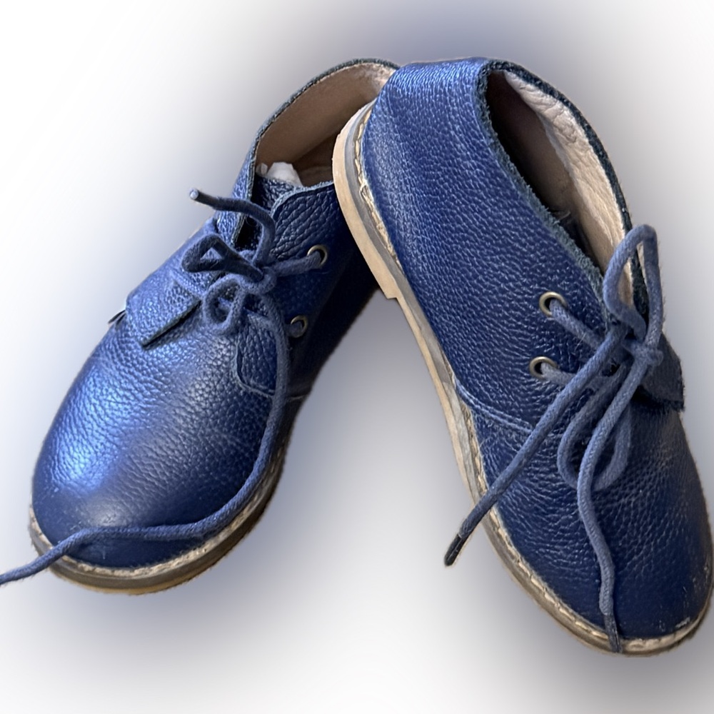 Monkey Feet Navy Leather Shoes